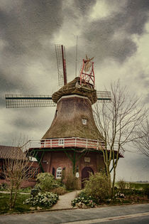 Stumpenser Mühle im Wangerland  by Nicole Frischlich