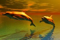 dolphins before sunset by kunstmarketing
