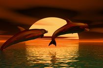 dolphins before sunset by kunstmarketing