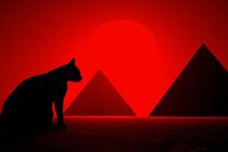 cat before pyramids by kunstmarketing