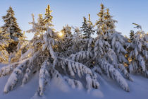 Winter im Erzgebirge by moqui