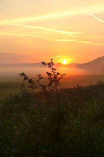 Sonnenaufgang in der Natur by Bernhard Kaiser