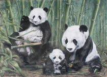 Pandas by Alexey Kurkin