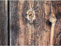 Altes Holz von RAINER PFANNKUCH