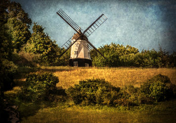 Windmill-tex