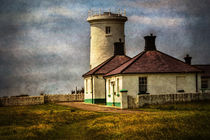  Nash Point Lighthouse Low Tower by Ian Lewis