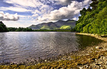 From Friars Crag Derwentwater by Ian Lewis