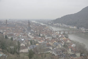 Heidelberg-mist