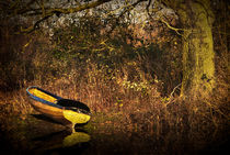 Yellow Rowing Boat von Ian Lewis
