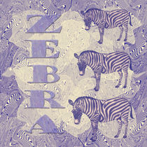 Zebra von Chris Berger