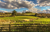 Round Hill From Little Wittenham by Ian Lewis