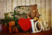 Teddybären mit Herz von Claudia Evans