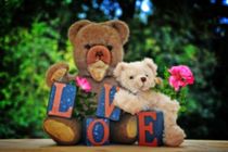 Love Teddybears with flower von Claudia Evans