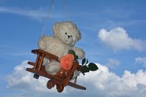 Fly. . . . . Teddy. . . . . fly!  by Claudia Evans
