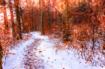 Weg im Winterwald von Nicc Koch