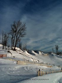 Dunes of Snow and Fences  von David Richardson