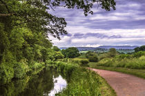 The Canal at Brecon by Ian Lewis