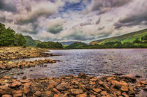 Thirlmere Looking North by Ian Lewis