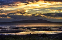 Evening Light Over The Solway Firth von Ian Lewis