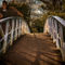 The-footbridge-at-little-wittenham