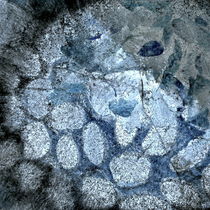 Ice leafs by Christina Sillèn