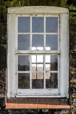 The-window