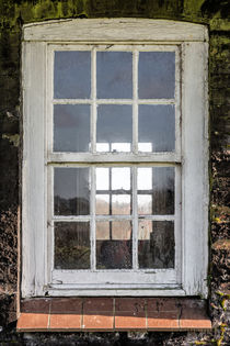 Windows by Jeremy Sage