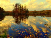 Calm moment in autumn von casselfornia-art