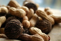 Nuts von casselfornia-art