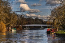 Below The Weir at Pangbourne by Ian Lewis