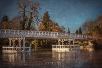 The Toll Bridge At Whitchurch by Ian Lewis