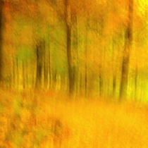 Yellow autumn von Christina Sillèn