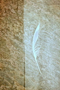White feather by Christina Sillèn