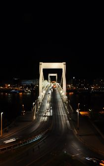 Budapest bridge at night by Anna Zamorska