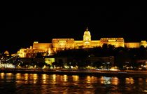 Budapest castle  von Anna Zamorska