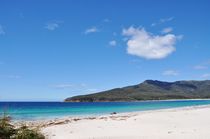 Wineglass beach in Tasmania by Anna Zamorska
