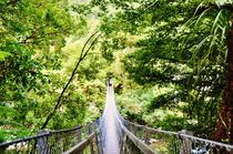 Rope bridge in New Zealand by Anna Zamorska