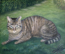 Katze Julia von Regine Dapra