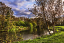 'The River Kennet At Burghfield' by Ian Lewis