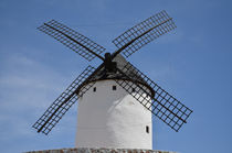 Windmühle La Mancha von Iris Heuer