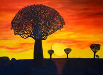 Sonnenuntergang hinter Affenbrotbaum  by Iris Heuer