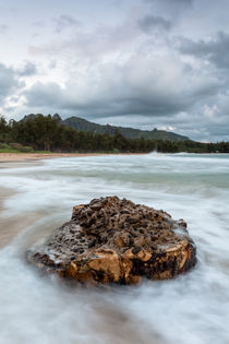 Strand auf Kauai von Florian Westermann