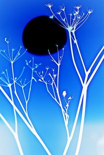 black moon... 2 by loewenherz-artwork