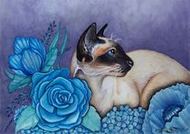 Chocolate Point Siamese Cat by Sandra Gale