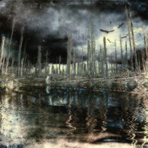'Waldmystik - Am Dreisessel' von Chris Berger