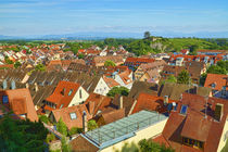 Blick auf die Stadt Breisach - View of the city Breisach by Thomas Klee