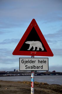 Gjelder hele Svalbard by Iris Heuer