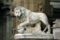 The Lion of the Piazza della Signoria, Florence by David Lyons