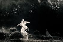 Pegasus in the Boboli Gardens. Florence, Italy by David Lyons