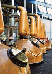 Laphroaig whisky distillery. The copper pot stills by David Lyons